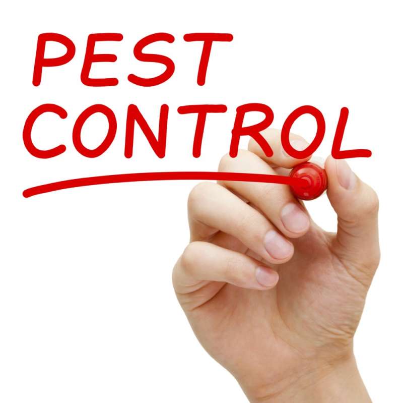 discount pest control in Altoona