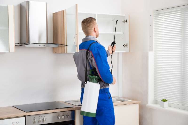 residential pest control company in Newton