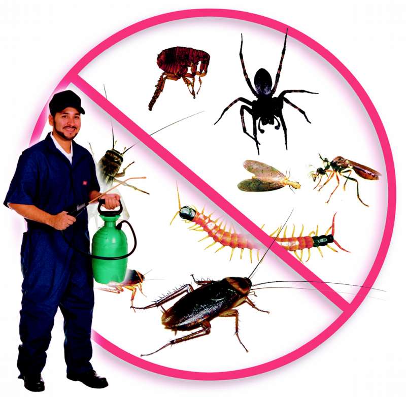 organic pest control companies in Courtland